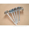 umbrella head smooth shank roofing nails